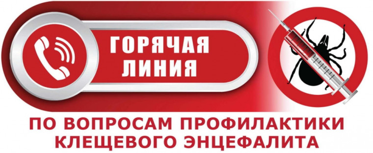 Введите заголовок новости.